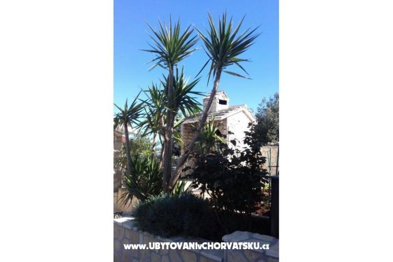 Appartamenti Ivana – foto 13