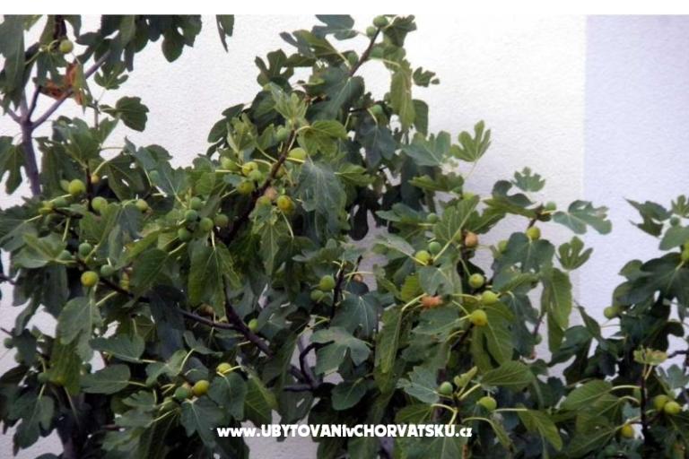 Appartamenti Marasović – foto 6