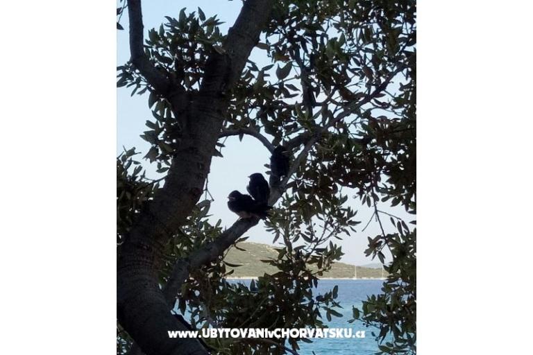 Luxury Villa Marin Appartamenti – foto 17
