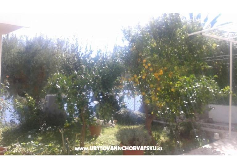 Appartamenti Neves – foto 13