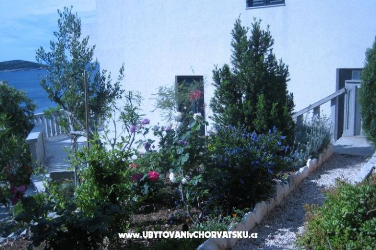 Appartamenti Punta  – foto 5