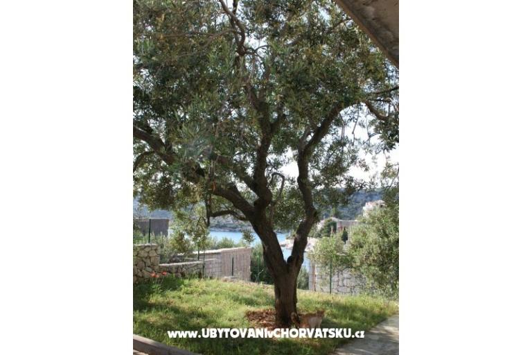 Appartamenti Sevid Nikša i Lucija – foto 15