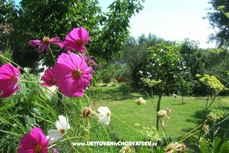 Appartamenti Mira &amp; Vinko – foto 17