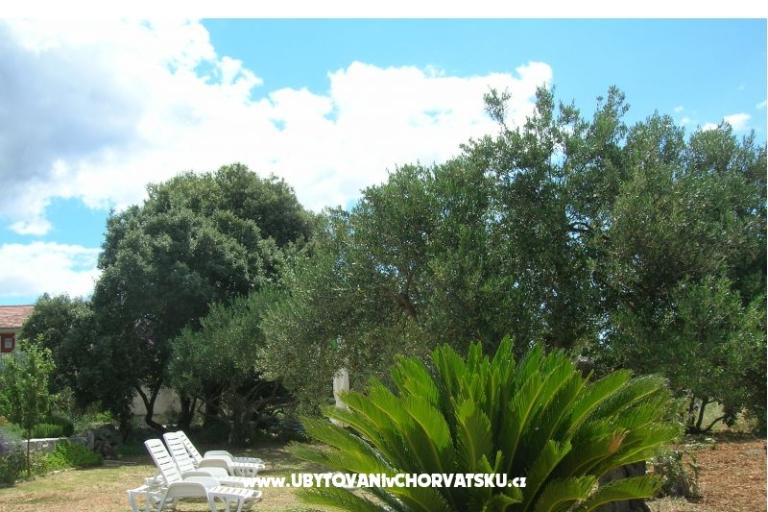 Appartamenti Mira &amp; Vinko – foto 9