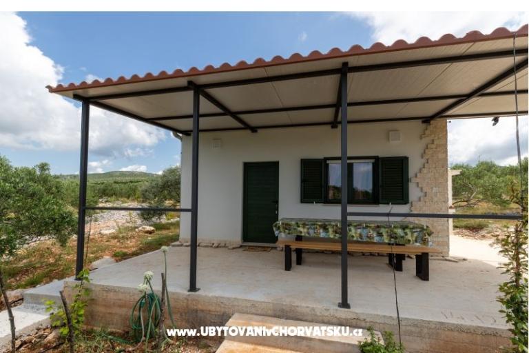Green Casa (Dogs are welcome) – foto 10