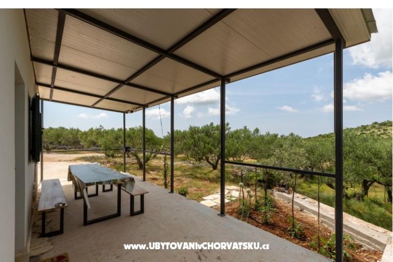 Green Casa (Dogs are welcome) – foto 11