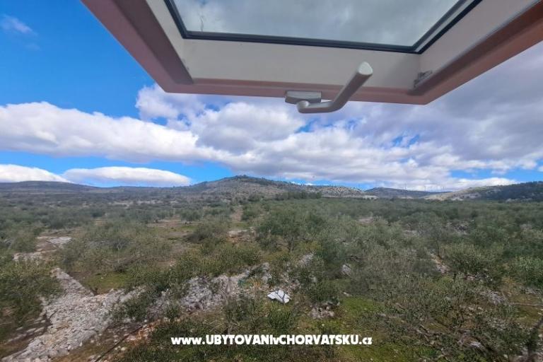 Green Casa (Dogs are welcome) – foto 7