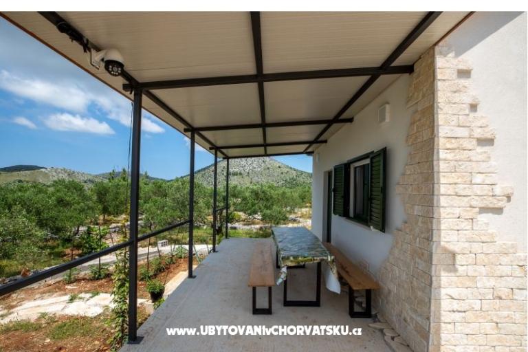 Green Casa (Dogs are welcome) – foto 8
