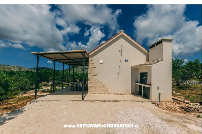 Green Casa (Dogs are welcome) – foto 9