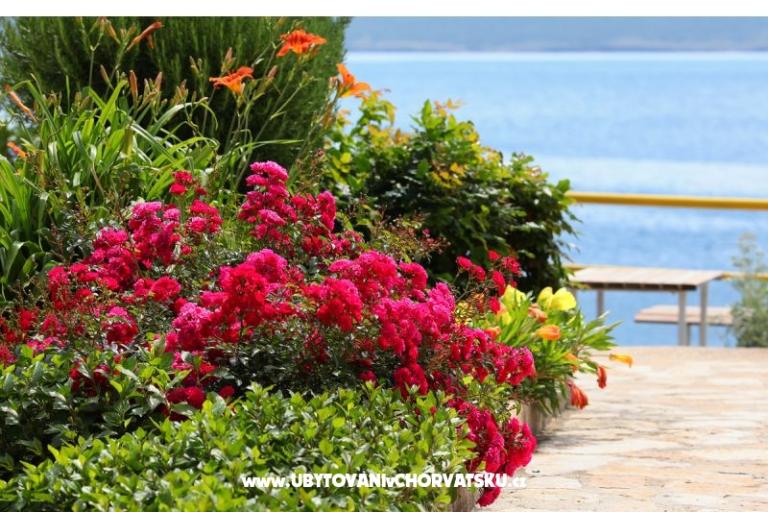 Appartamenti Mare – foto 17