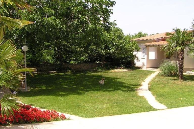 Appartamenti Paloma blanca - Oaza Reg – foto 10