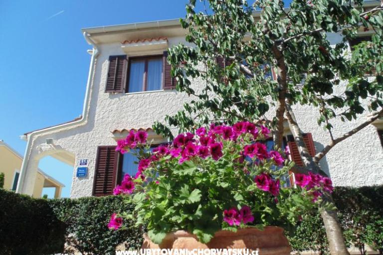 Appartamenti Regi – foto 2