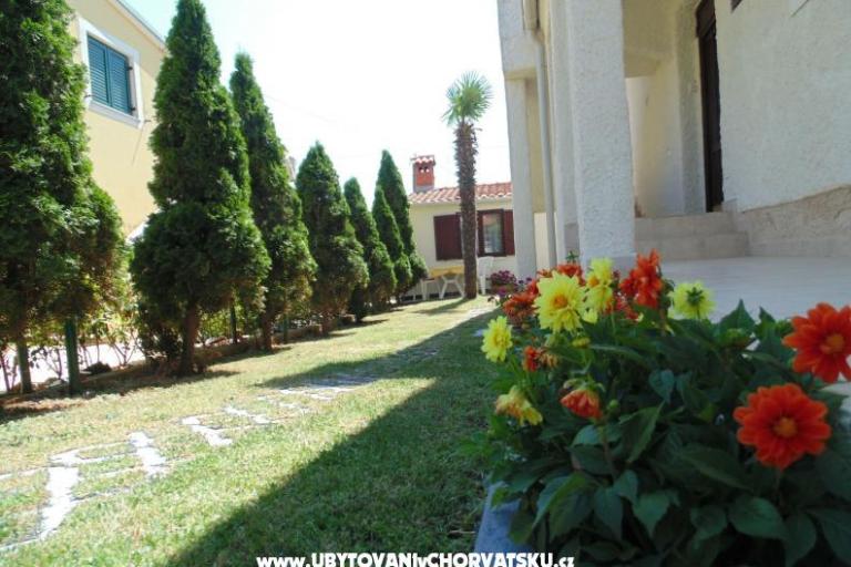Appartamenti Regi – foto 8