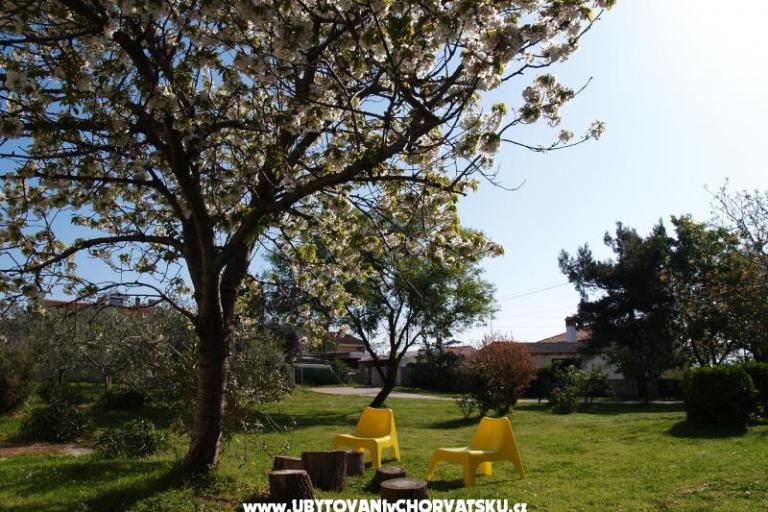 Comtemporary Appartamento – foto 15