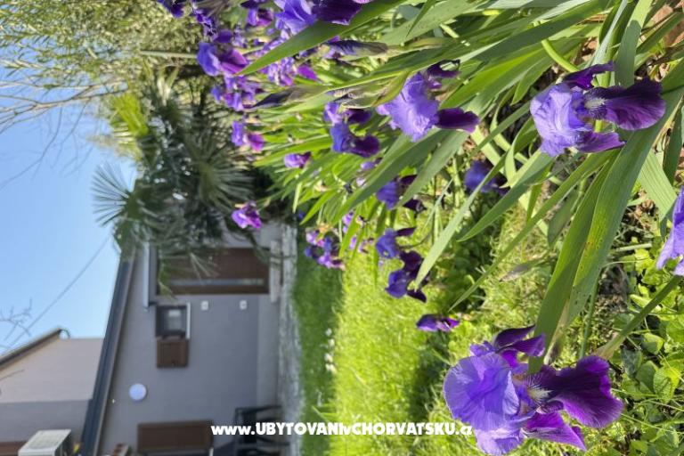 Flowers Appartamento Medulin, Fucane 2 – foto 15