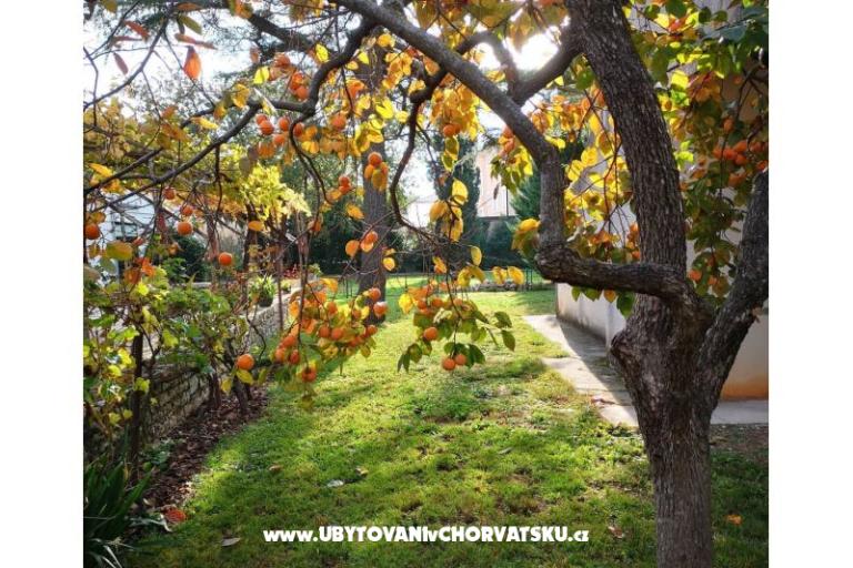 Flowers Appartamento Medulin, Fucane 2 – foto 4