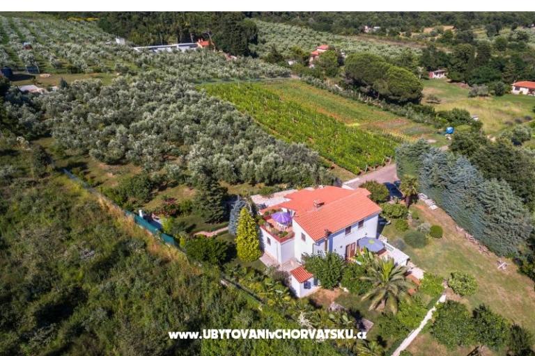 Casa Vencel – foto 15