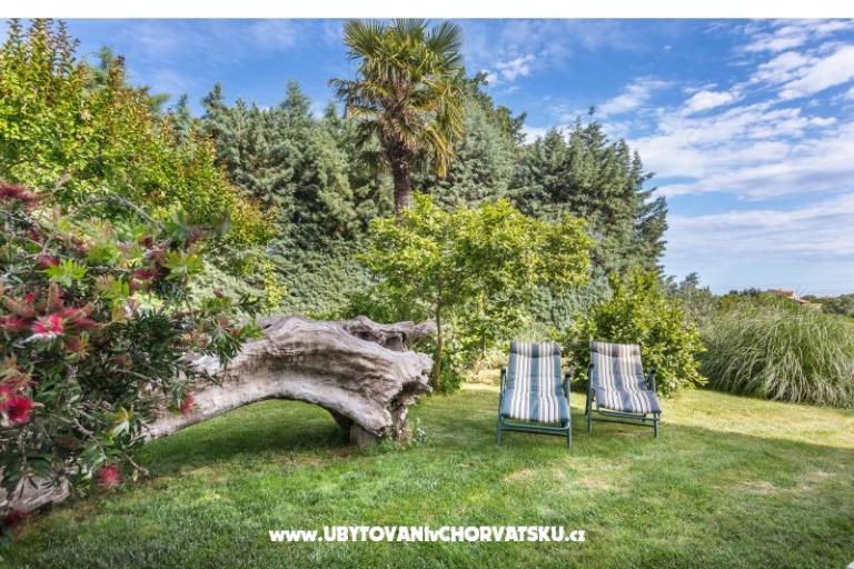 Casa Vencel – foto 16