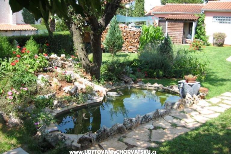 Casa Jolanda – foto 10