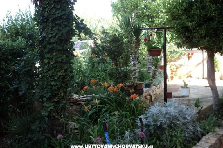 Casa Pacic – foto 14