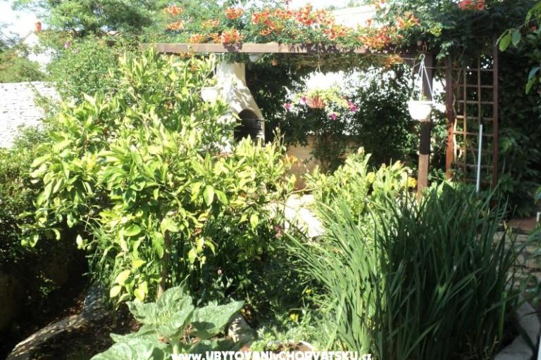 Casa Pacic – foto 15