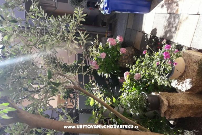 Appartamenti SUNI – foto 6