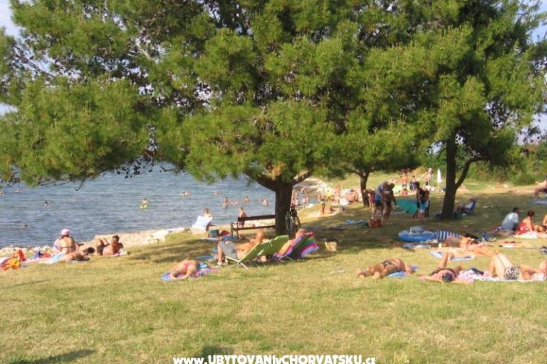 Appartamenti Tomy – foto 17