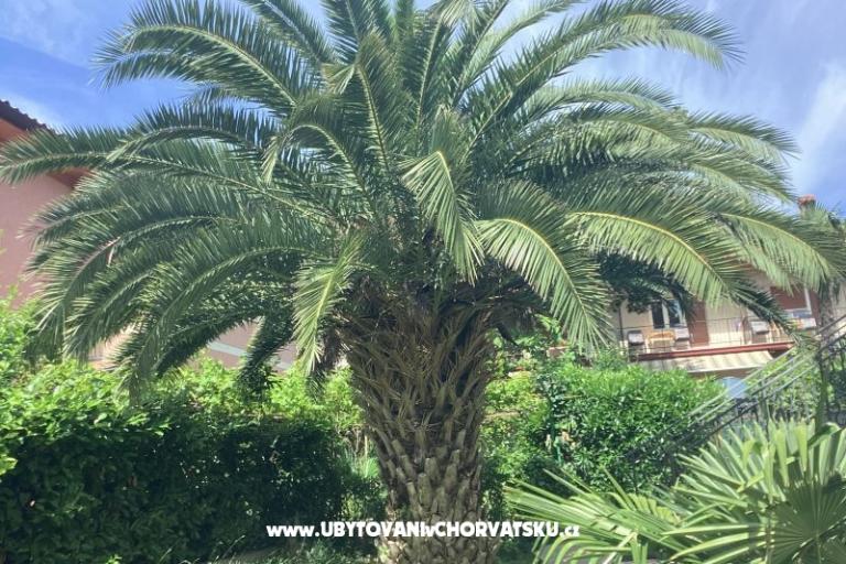 Appartamenti Rubinić  – foto 19