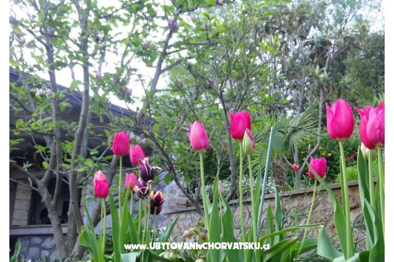 Appartamenti Vera – foto 18