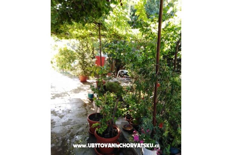 Appartamento Fifi – foto 16