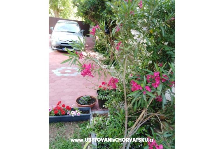 Appartamento Fifi – foto 6