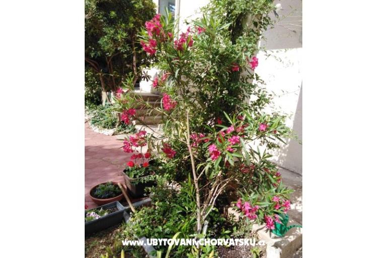 Appartamento Fifi – foto 7
