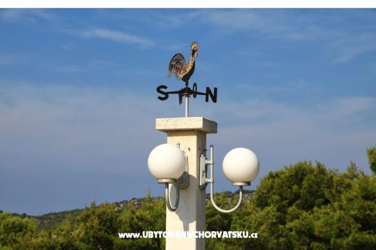 Appartamenti Alma – foto 8