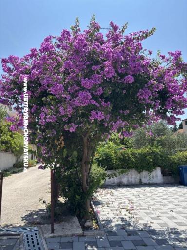 Appartamenti Kovačić – foto 15