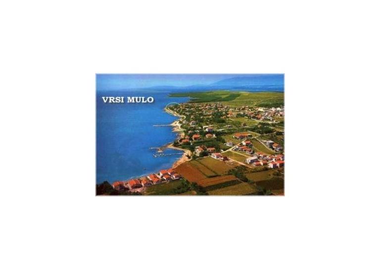 Appartamenti Vrsi - Mulo – foto 15