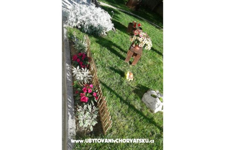 Appartamenti Anita – foto 5