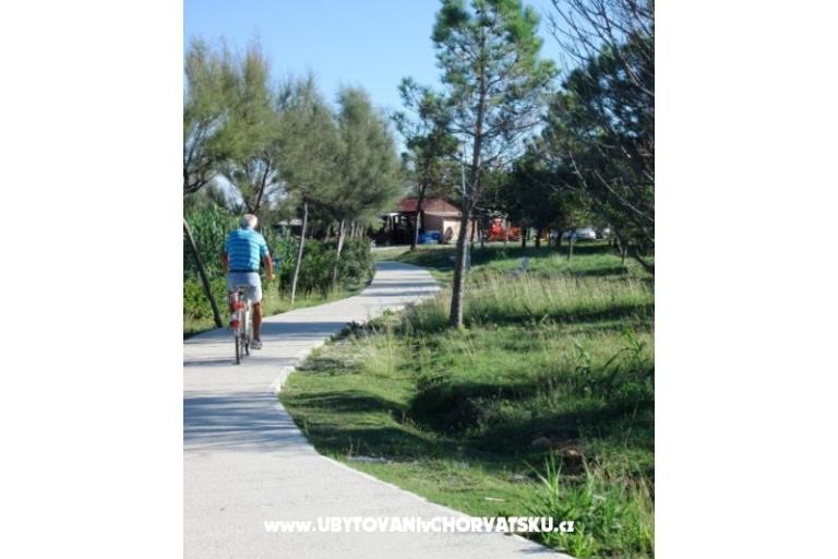 Appartamenti Casa Tea  – foto 4
