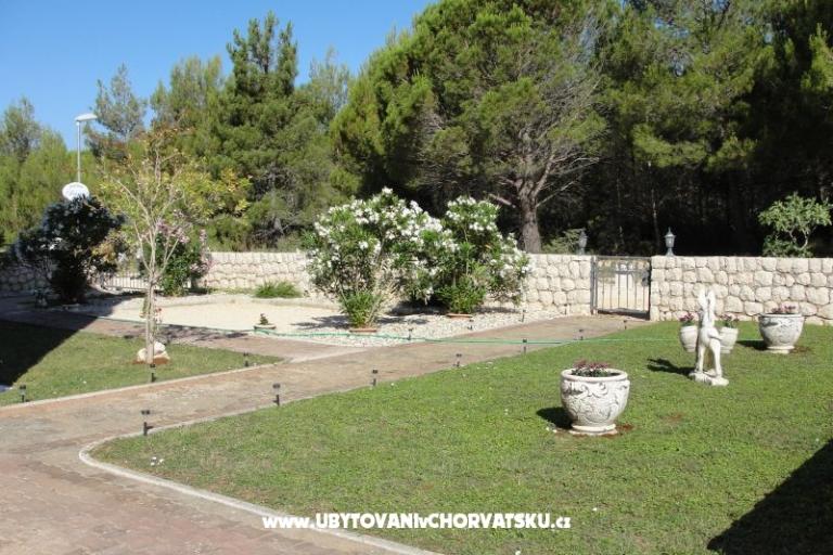Appartamenti Dario – foto 12