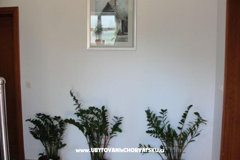 Appartamenti Dario – foto 14