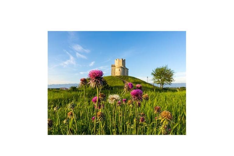 Appartamenti Elizabeta – foto 15