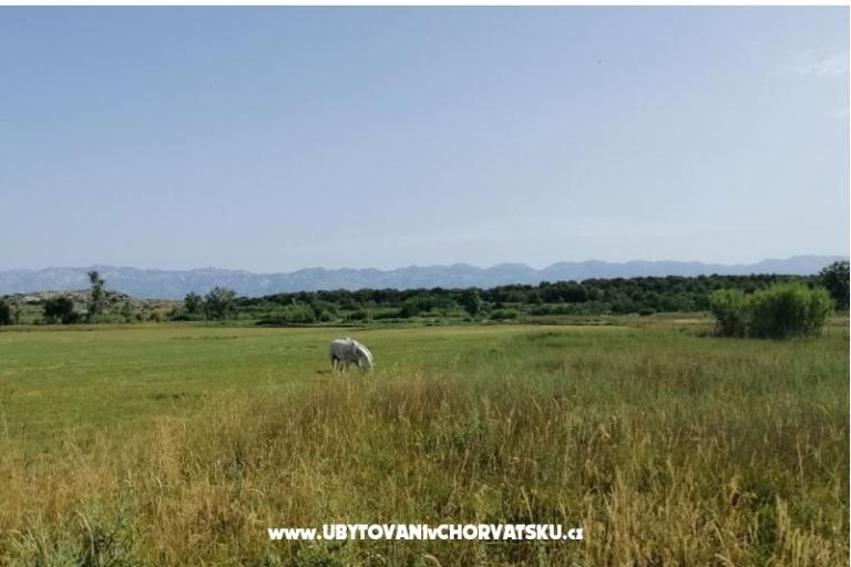 Appartamenti Seaside – foto 17