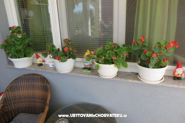 Appartamenti Renata – foto 5