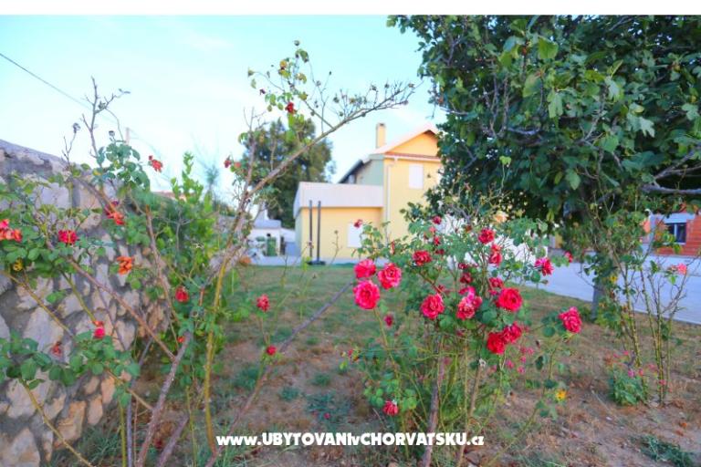 Appartamento Novak Rudic – foto 2