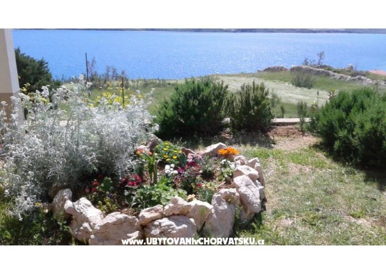Appartamenti Ante – foto 5