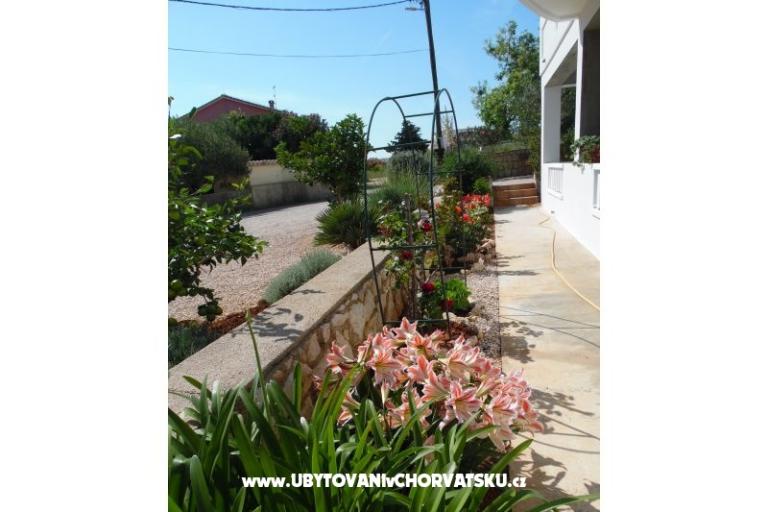 Appartamenti Dabo – foto 11