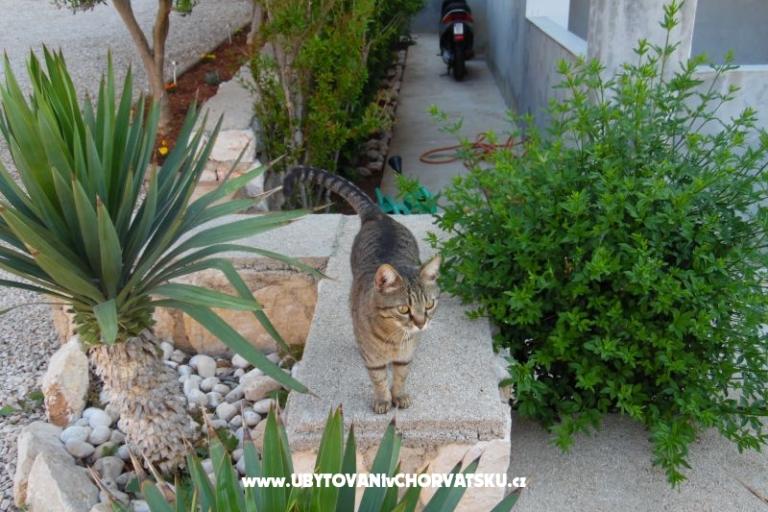 Appartamenti Dabo – foto 19