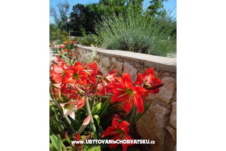 Appartamenti Dabo – foto 5