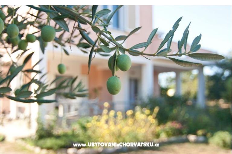 Appartamenti Danijela – foto 7