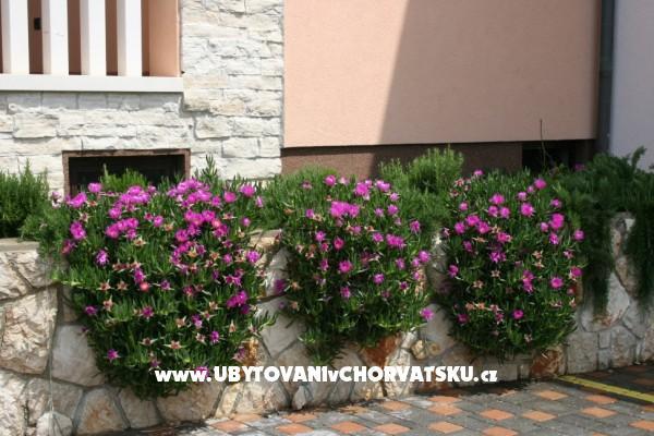 Appartamenti Grga – foto 5
