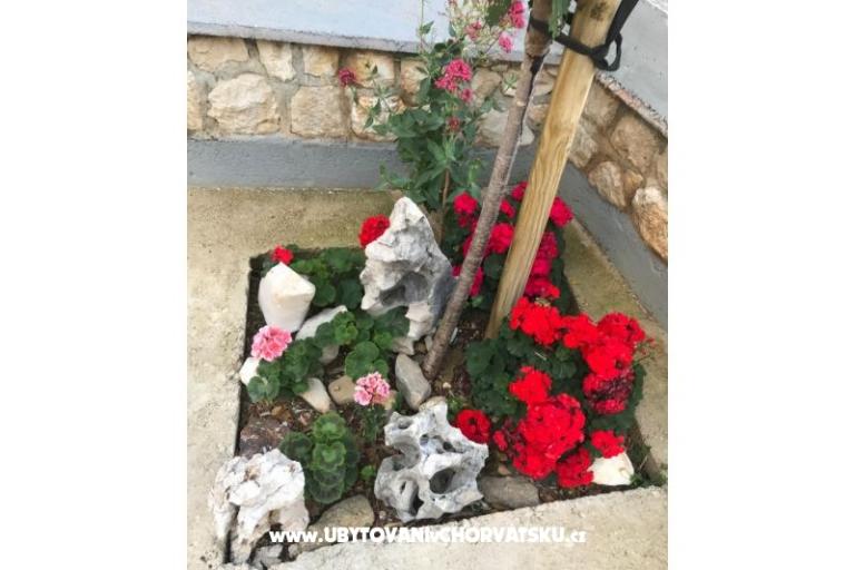 Appartamenti Katarina – foto 18